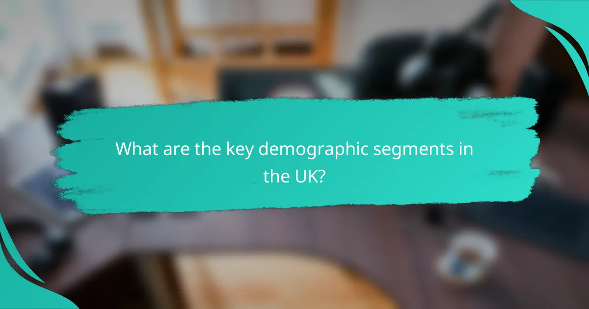 What are the key demographic segments in the UK?
