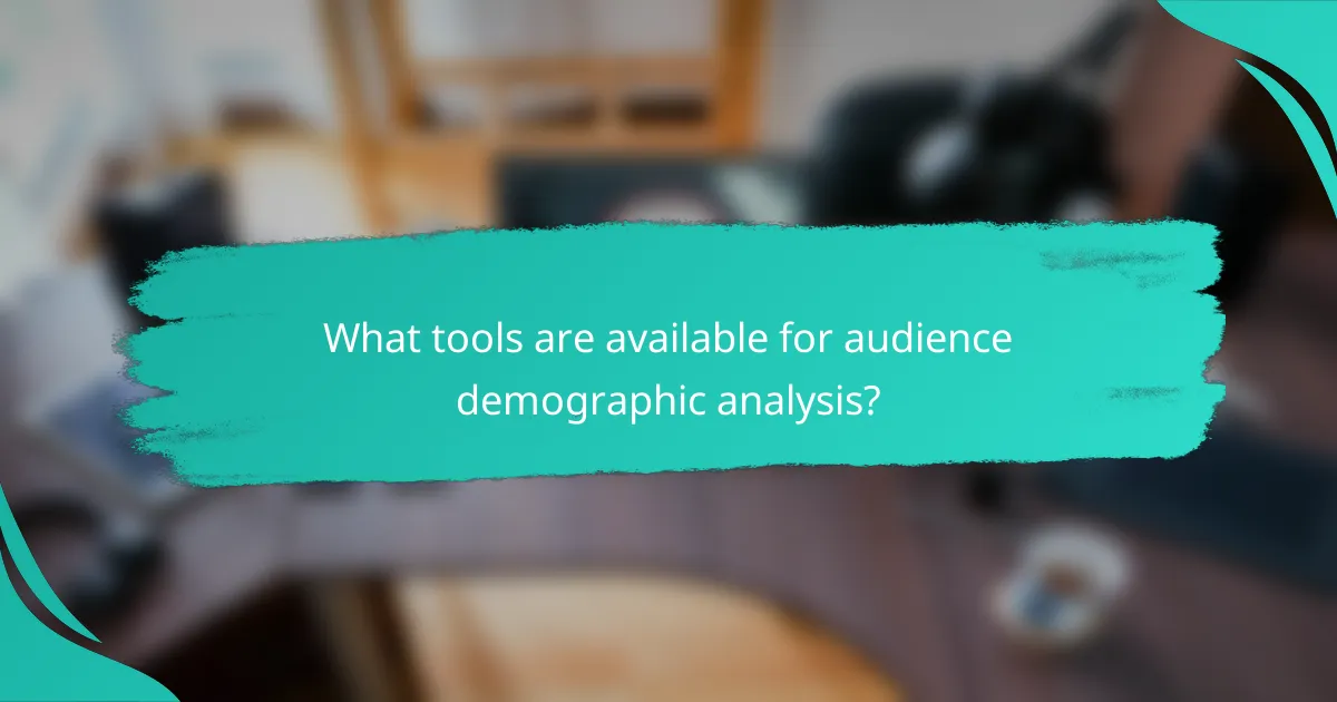 What tools are available for audience demographic analysis?